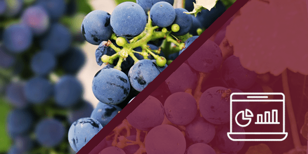 5 ventajas de trabajar con un buen software de gestión de bodegas