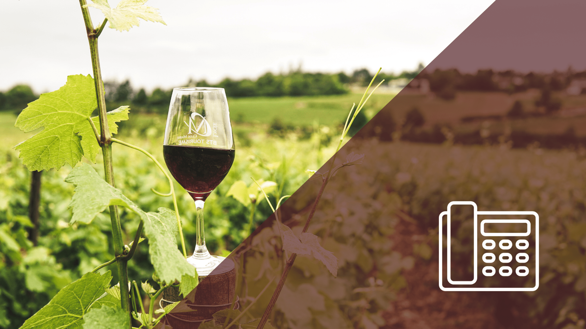 Venta telefónica de vino ¿efectiva?