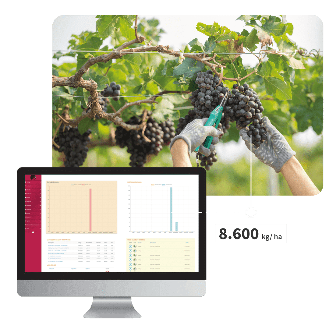 Software para bodegas