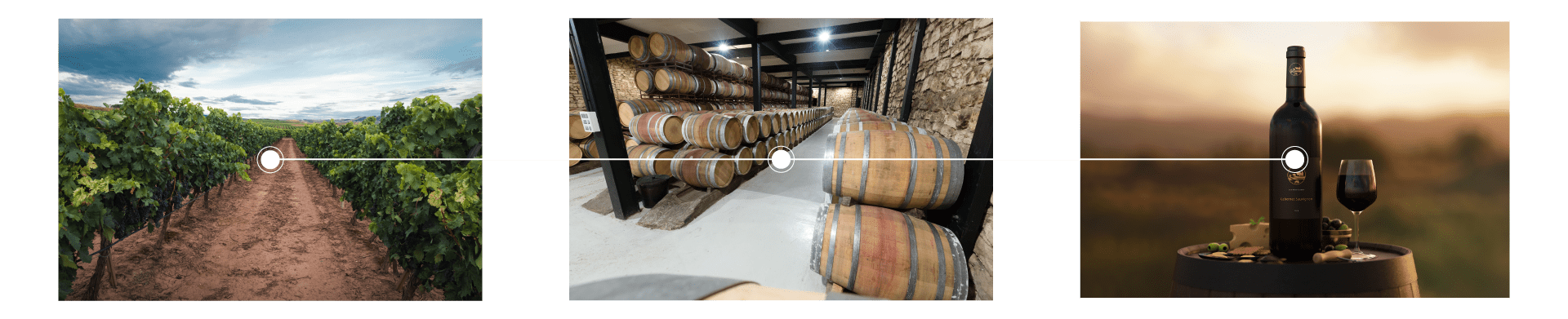 software control bodega