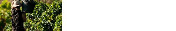 erp para bodegas