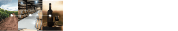 software de bodega